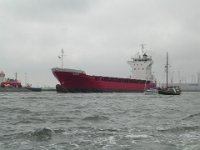 Hanse sail 2010.SANY3643
